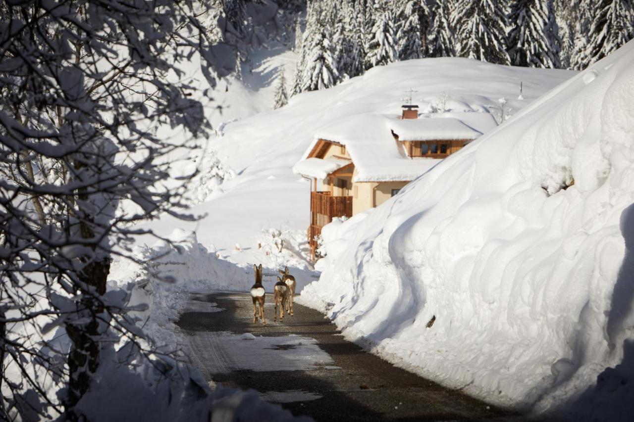 Sotciastel Antico Chalet Villa Badia  Buitenkant foto