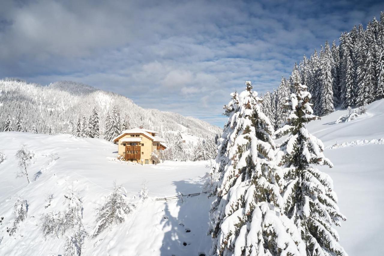 Sotciastel Antico Chalet Villa Badia  Buitenkant foto